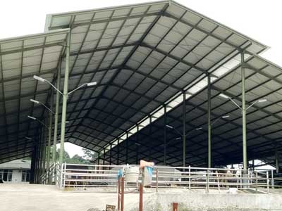 harga atap alderon cirebon
